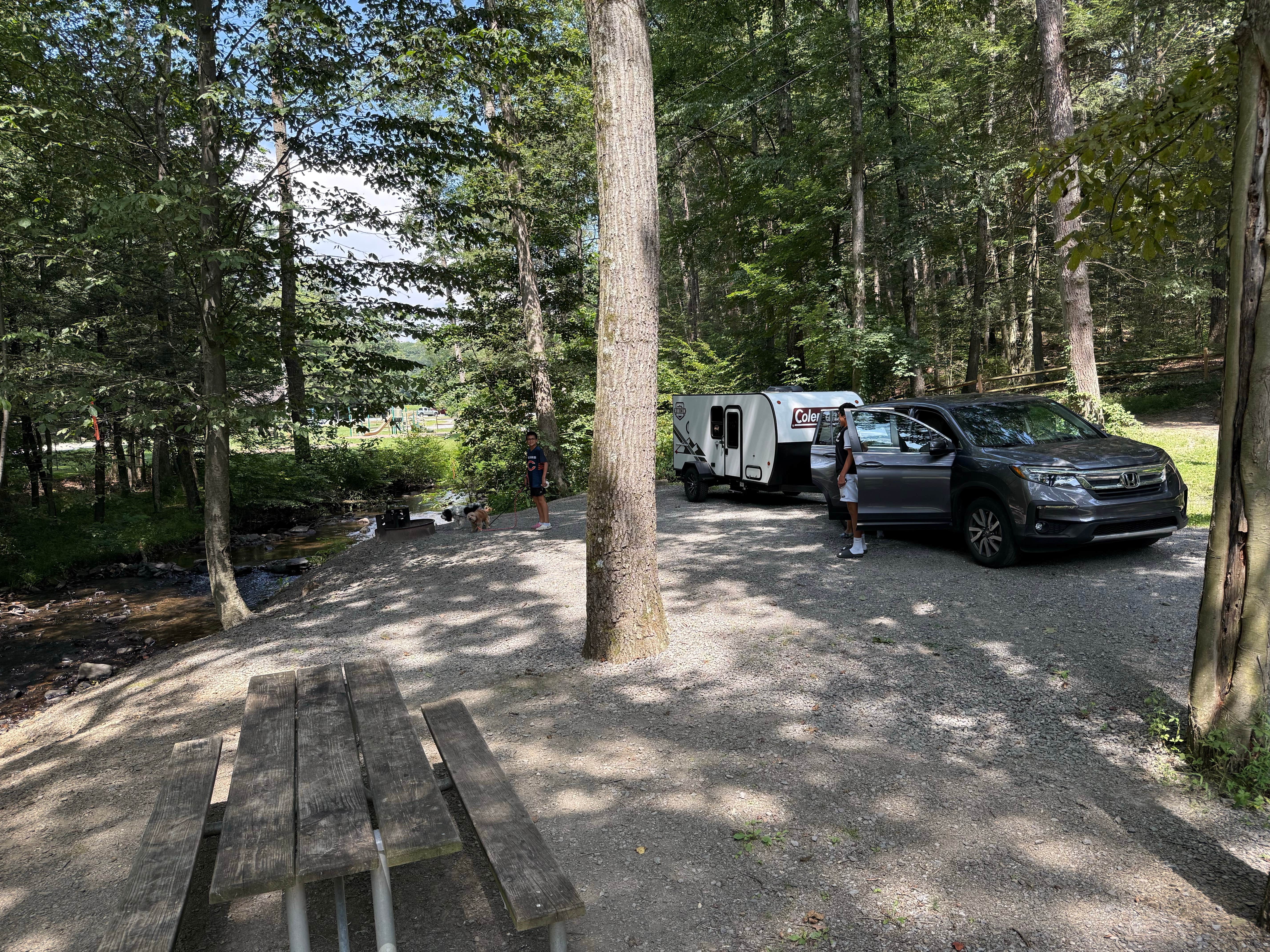 Etzer D.'s photo of camping with pets at Colonel Denning State Park Campground near Todd, PA