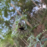 Review photo of Colonel Denning State Park Campground by Etzer D., November 27, 2025