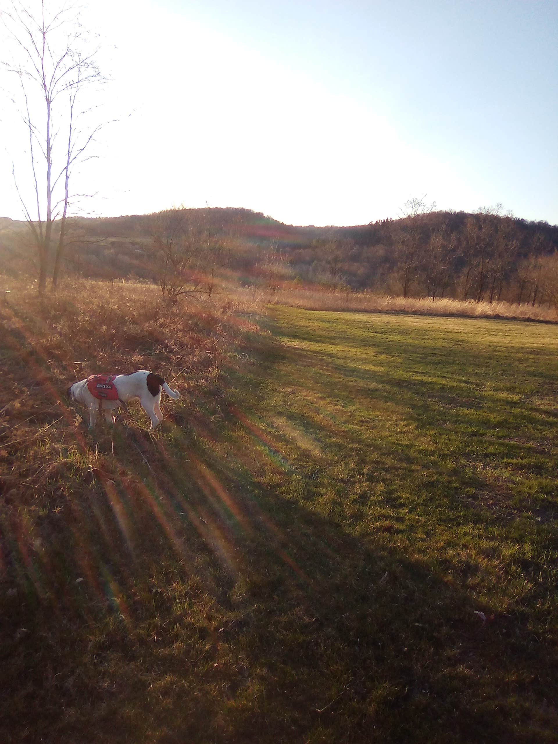 Camper-submitted photo at Curwensville Lake Campground near Falls Creek, PA