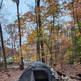 Review photo of French Creek State Park Campground by Renee P., November 1, 2024