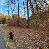 Review photo of French Creek State Park Campground by Renee P., November 1, 2024