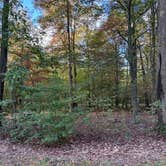 Review photo of French Creek State Park Campground by Aly E., October 2, 2025