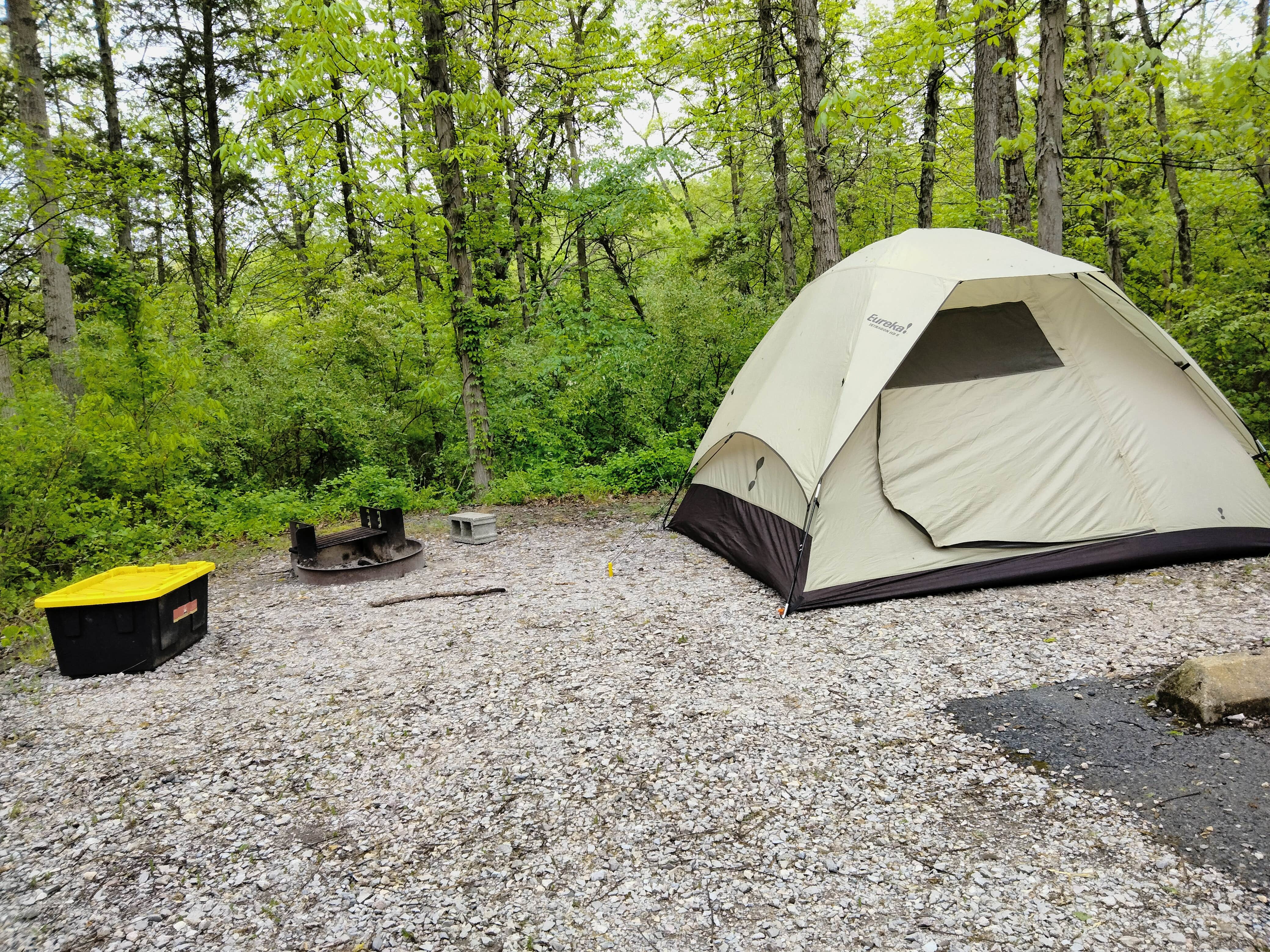 Norman A.'s photo at Gifford Pinchot State Park Campground near Glen Rock, PA