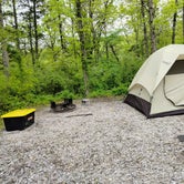 Review photo of Gifford Pinchot State Park Campground by Norman A., May 4, 2024