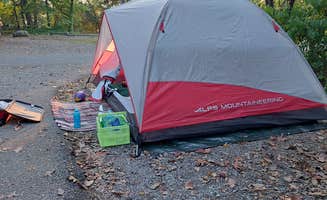 Andrea N.'s photo at Gifford Pinchot State Park Campground near Glen Rock, PA