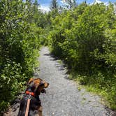 Review photo of Greenwood Furnace State Park Campground by susan F., June 29, 2026