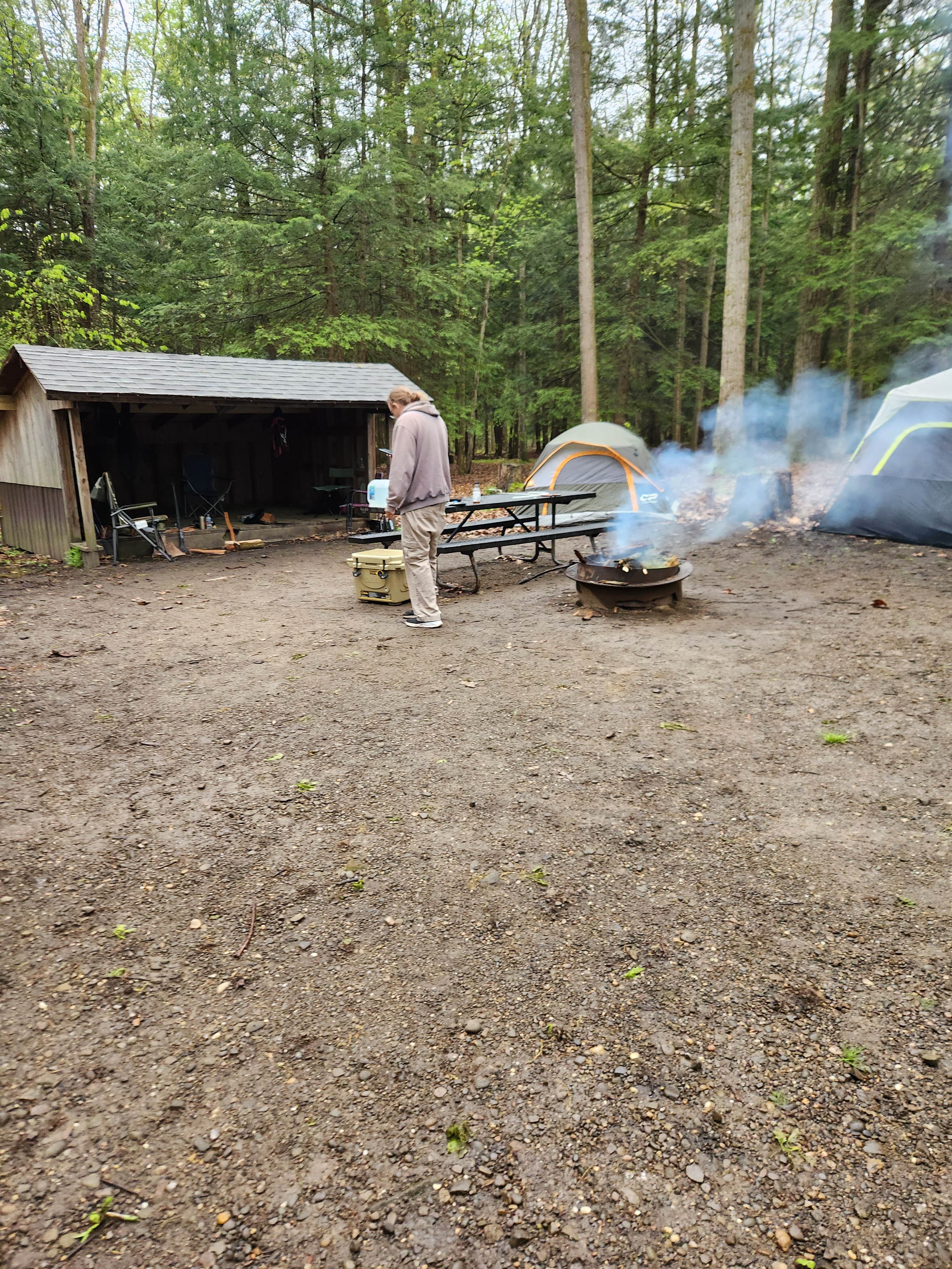 Joe I.'s photo at Hearts Content Recreation Area near Spartansburg, PA