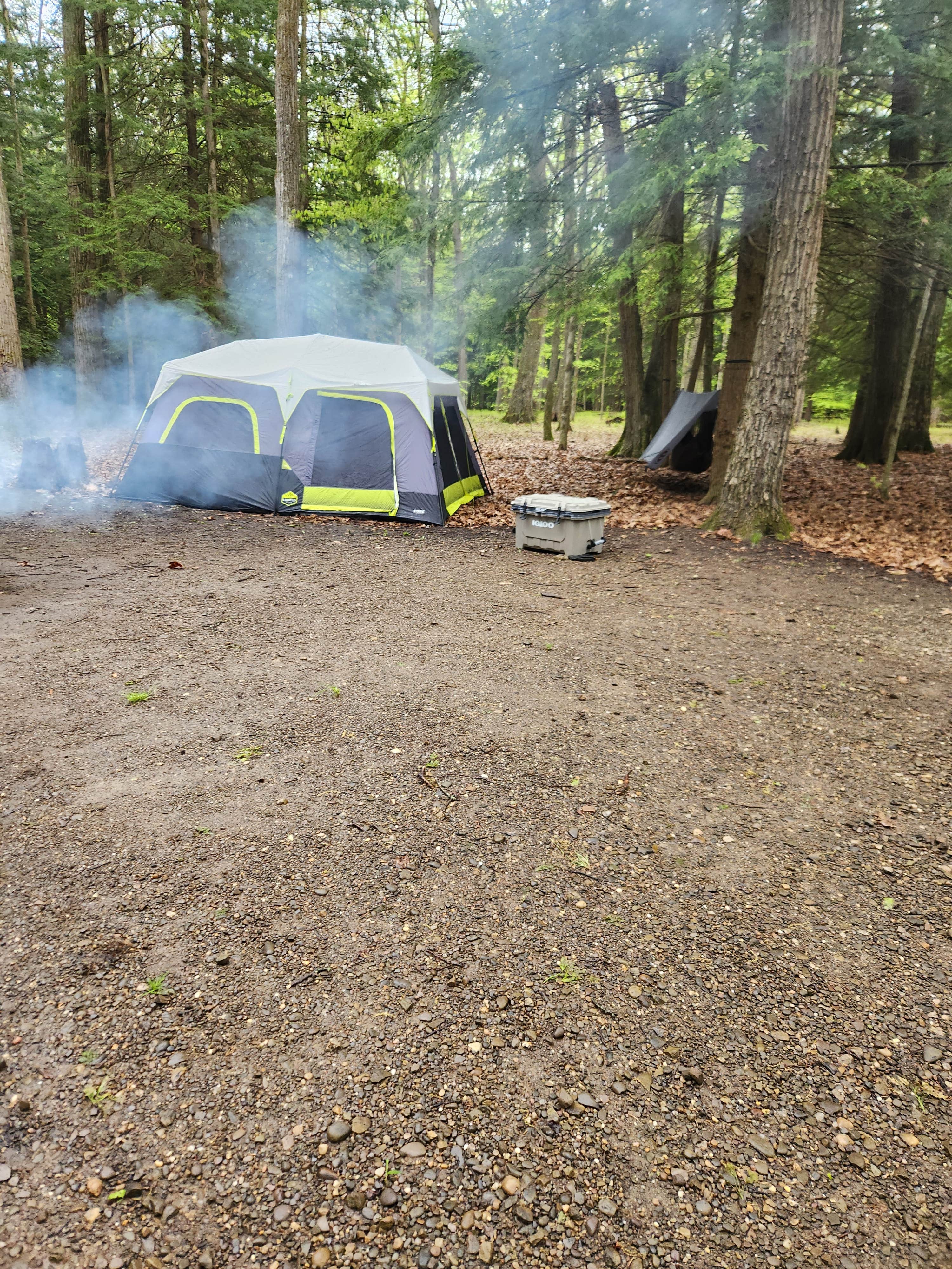 Joe I.'s photo at Hearts Content Recreation Area near Titusville, PA