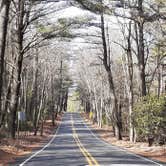 Review photo of Hickory Run State Park Campground by Juan S D., February 25, 2024