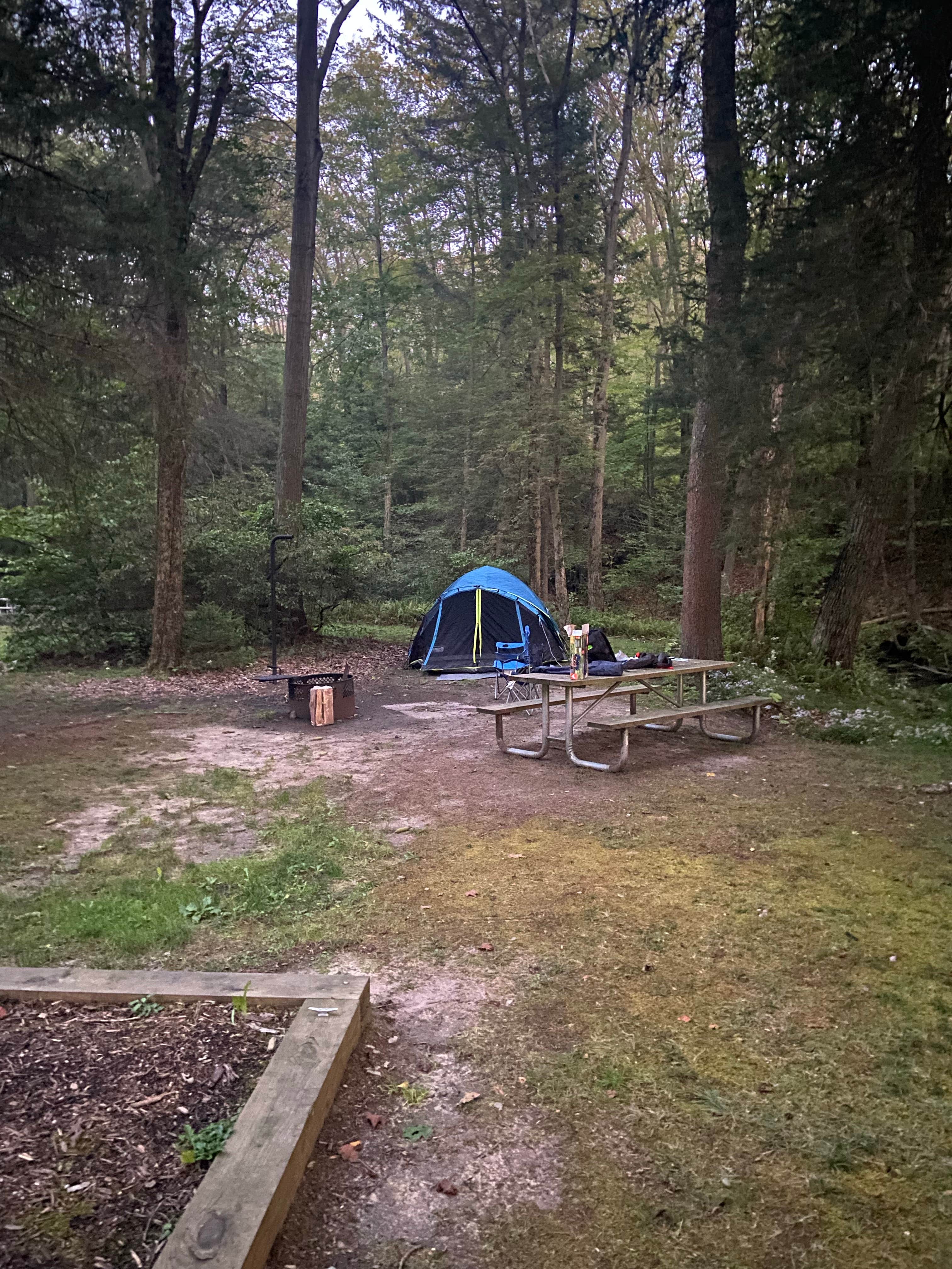 bryndy's photo at Kooser State Park Campground near Somerset, PA