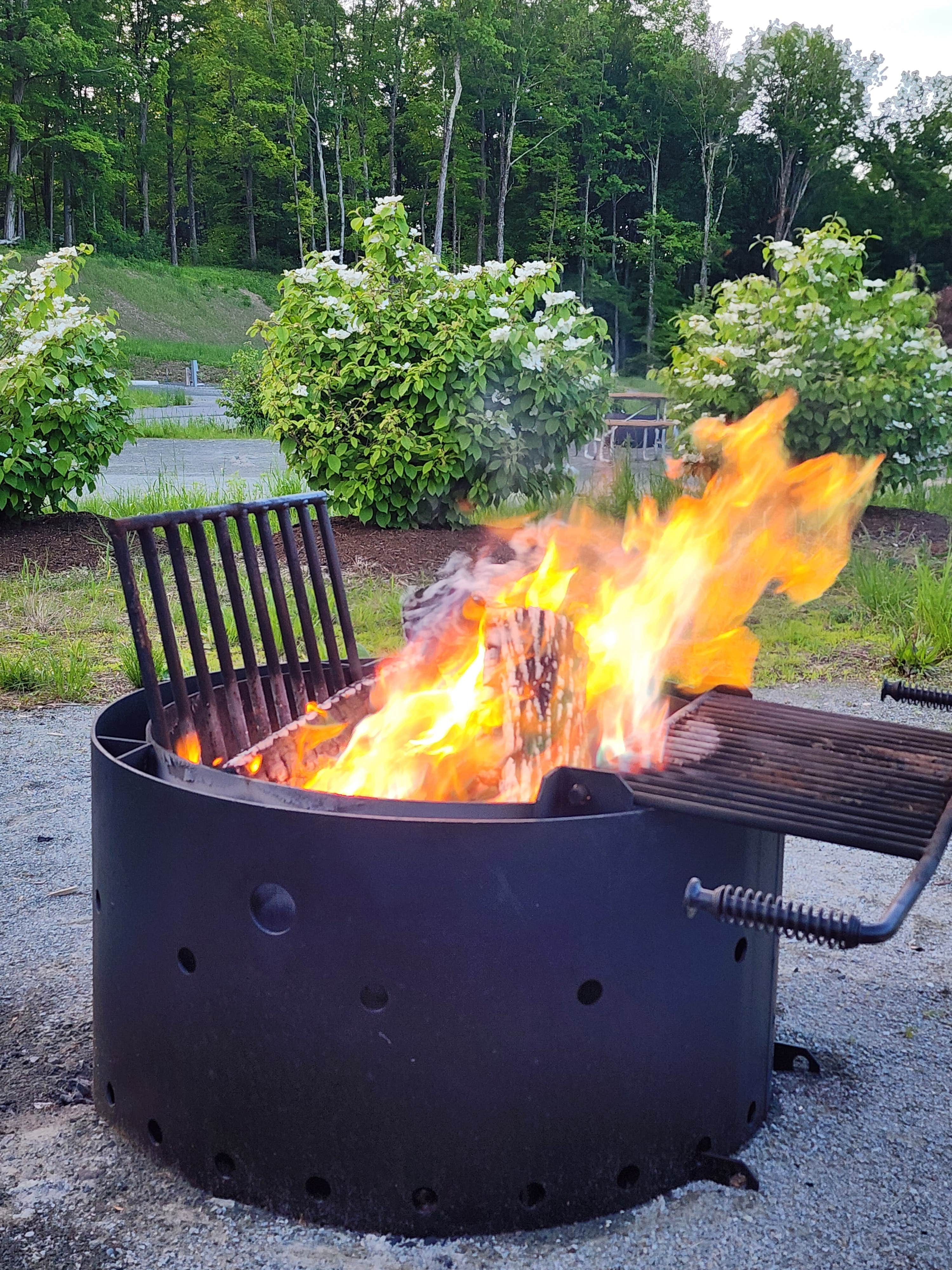 Camper-submitted photo at Lackawanna State Park Campground near Blakeslee, PA