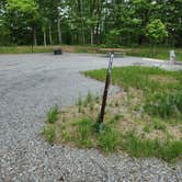Review photo of Lackawanna State Park Campground by cheryl M., May 22, 2025