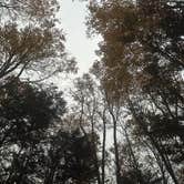 Review photo of Lackawanna State Park Campground by Will W., October 15, 2026