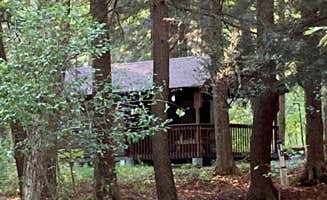 Janet R.'s photo of a cabin at Lackawanna State Park Campground near Factoryville, PA