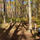 Review photo of Lake Towhee County Park by Roger W., October 25, 2023