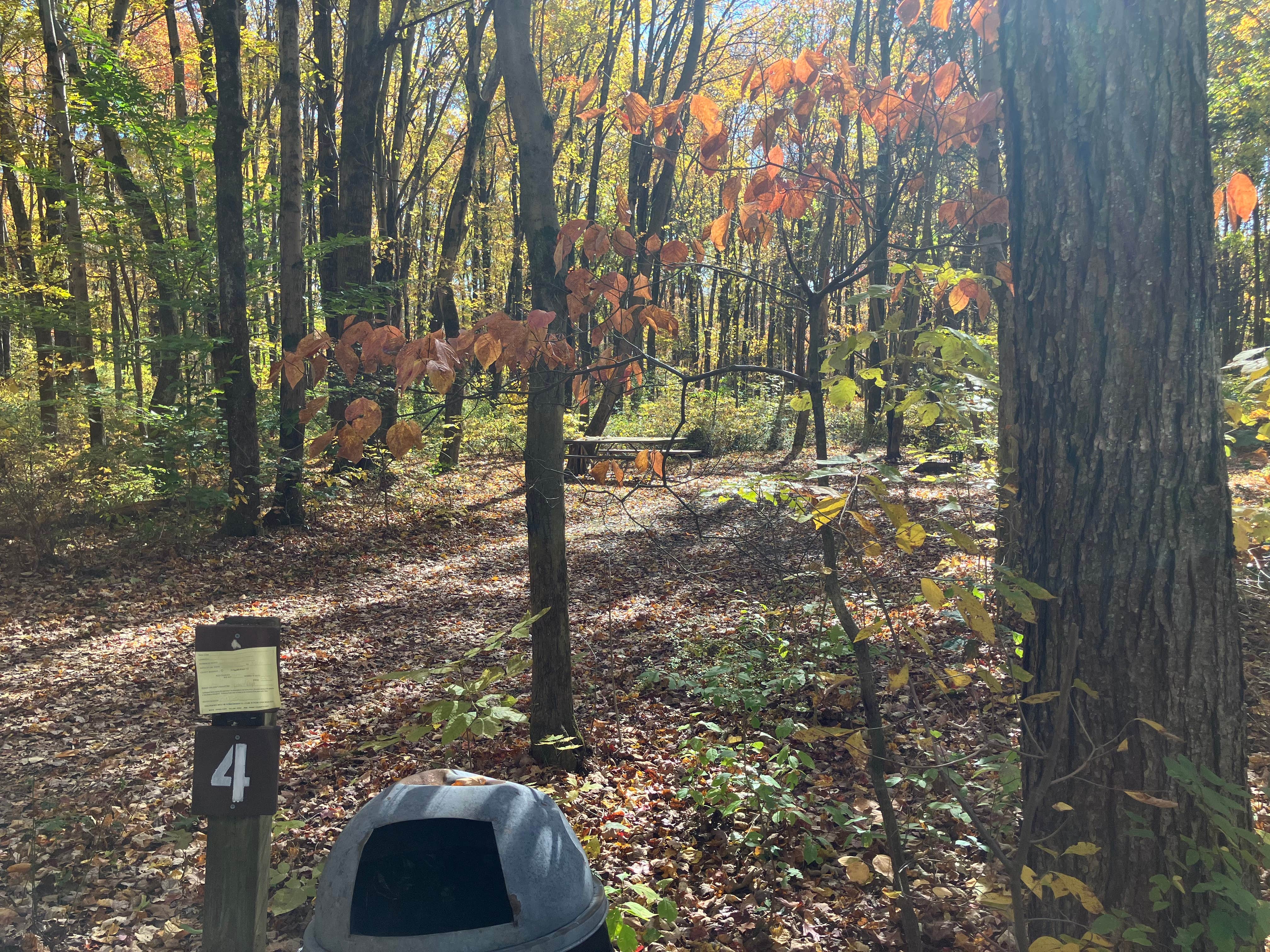 Camper-submitted photo at Lake Towhee County Park near Hatfield, PA