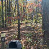 Review photo of Lake Towhee County Park by Roger W., October 25, 2023