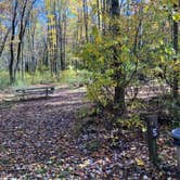 Review photo of Lake Towhee County Park by Roger W., October 25, 2023