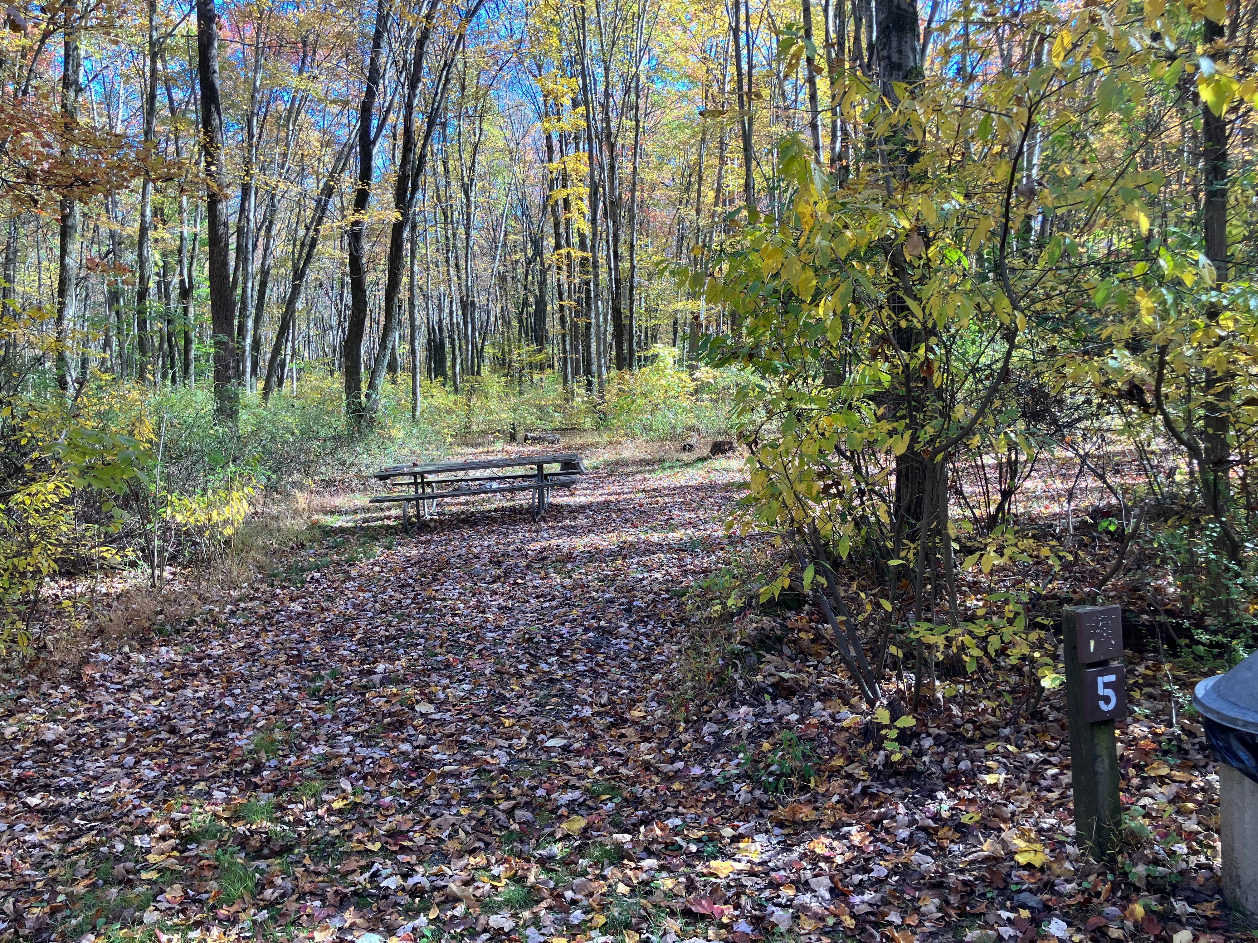 Camper submitted image from Lake Towhee County Park - 4