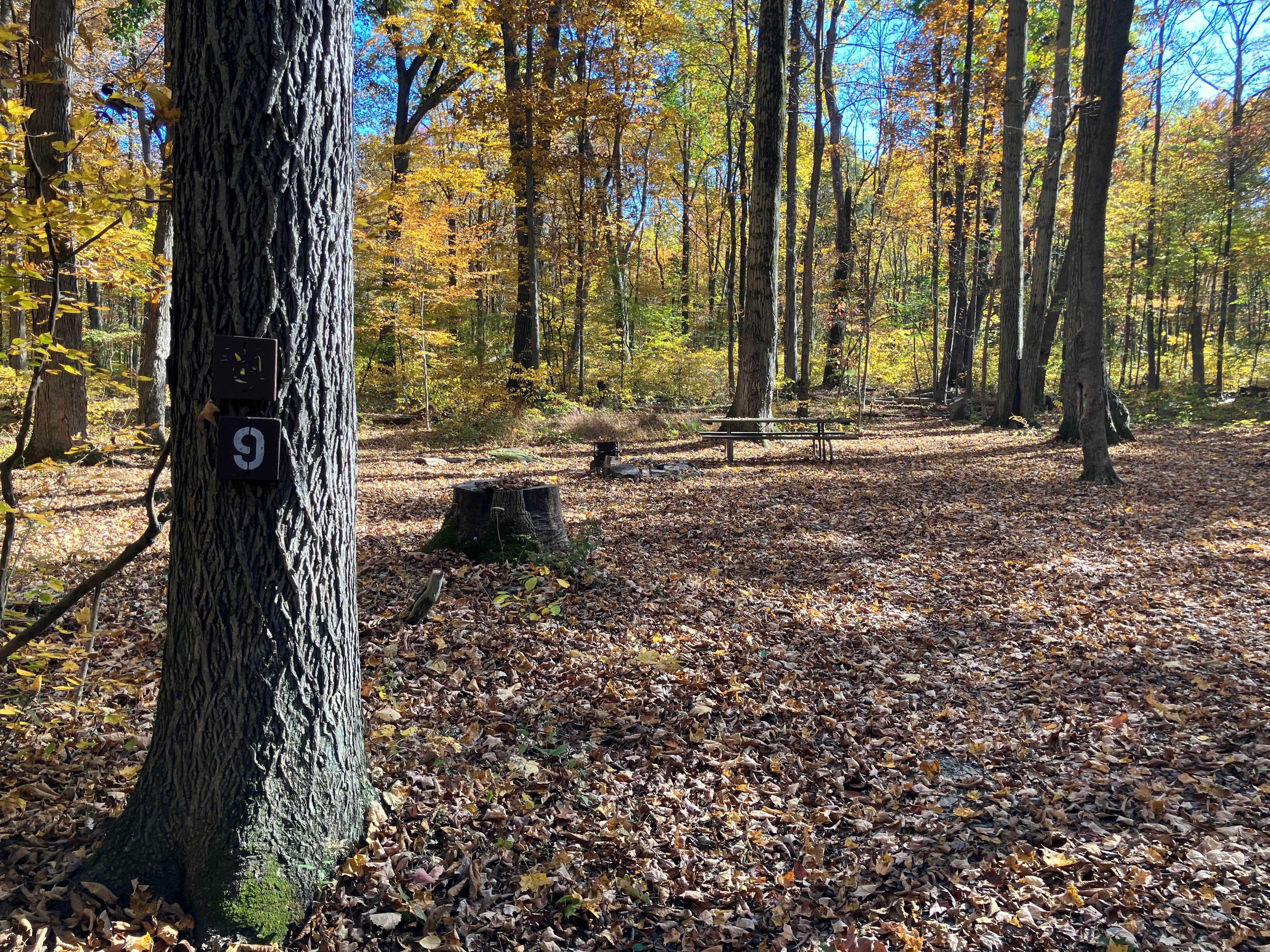 Camper submitted image from Lake Towhee County Park - 3