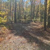 Review photo of Lake Towhee County Park by Roger W., October 25, 2023