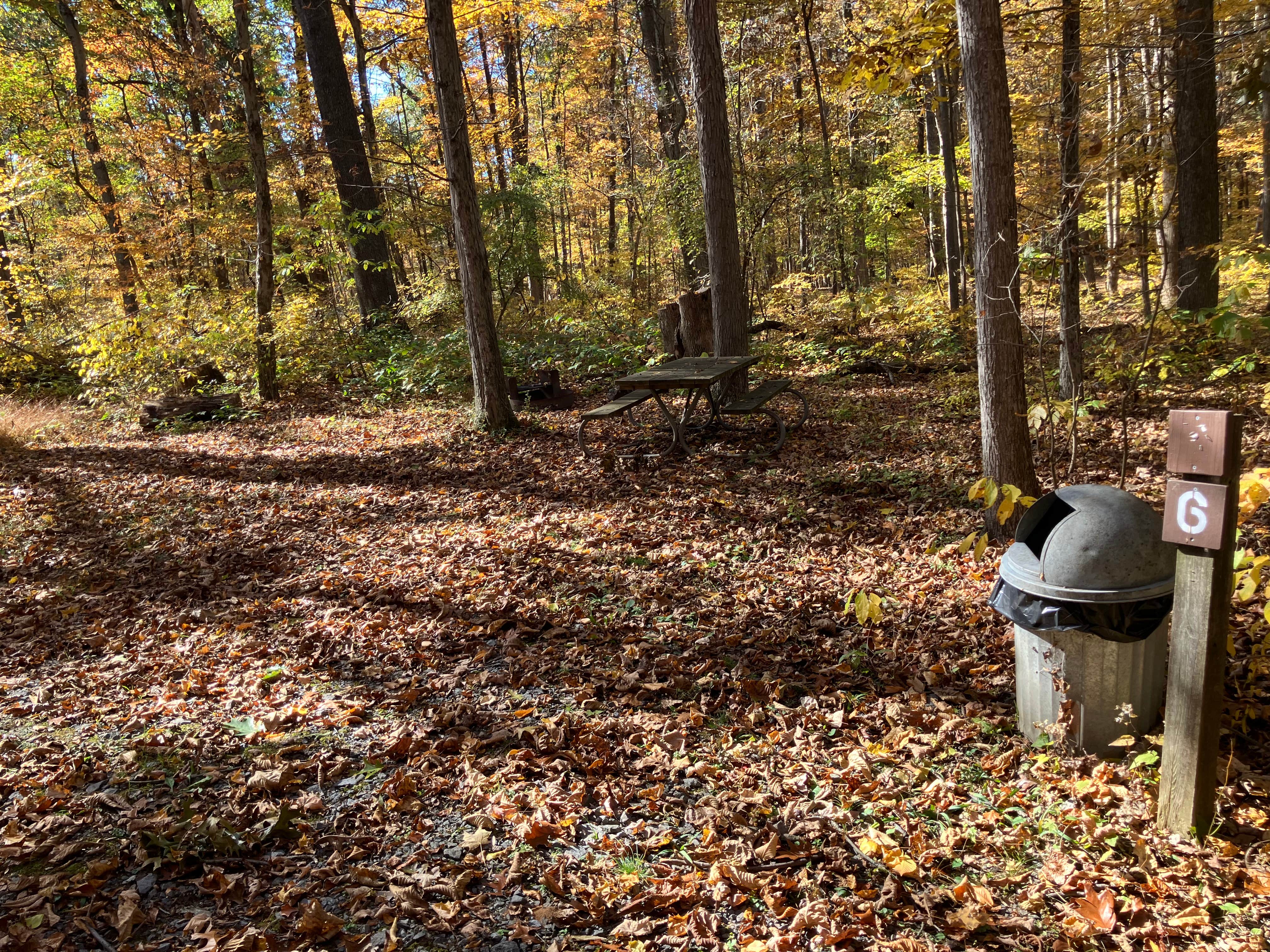 Camper submitted image from Lake Towhee County Park - 2