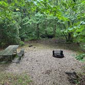 Review photo of Laurel Hill State Park Campground by Pam J., July 22, 2026