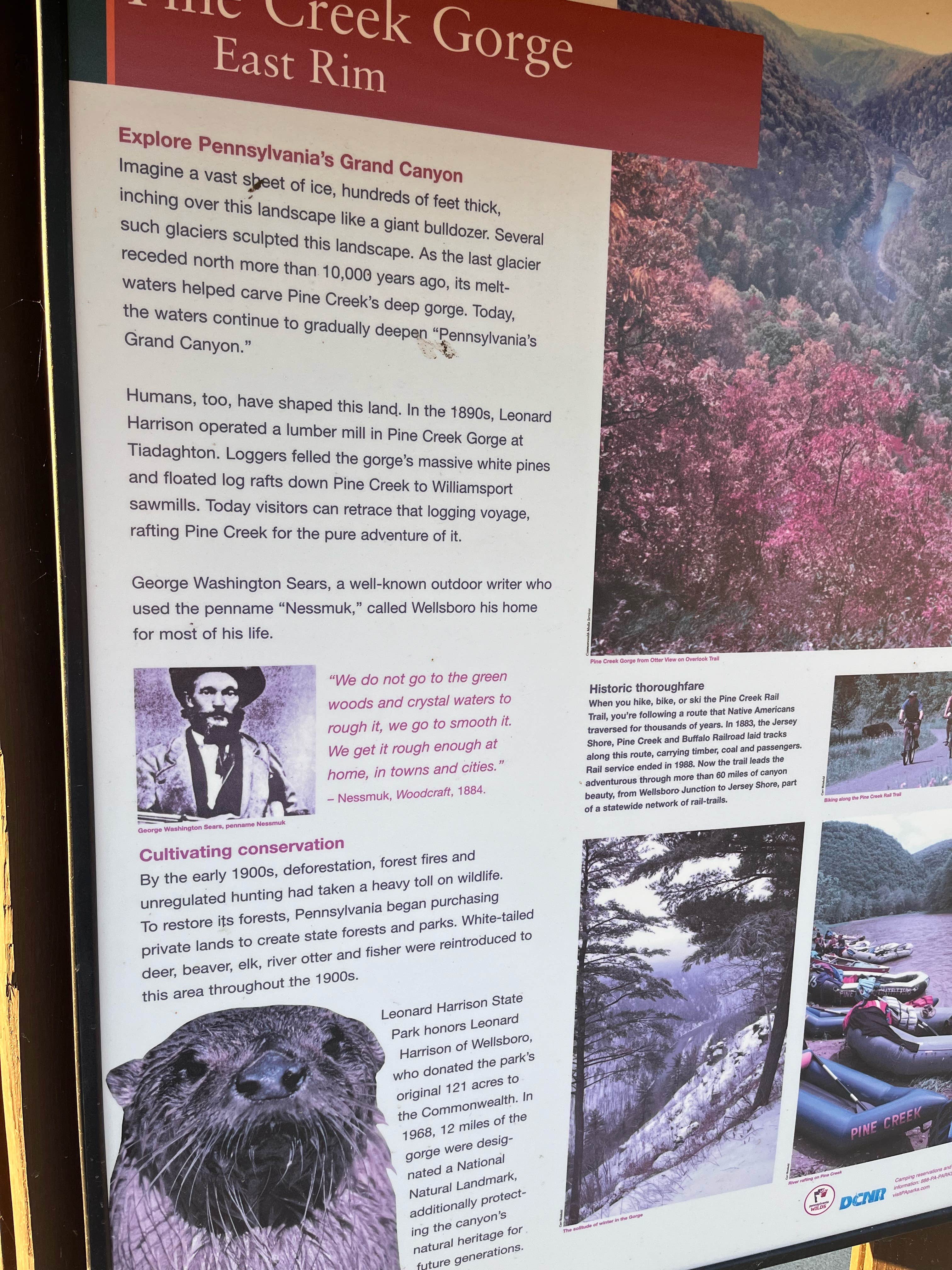 Whitney W.'s photo of camping with pets at Leonard Harrison State Park Campground near Tioga-Hammond Lakes