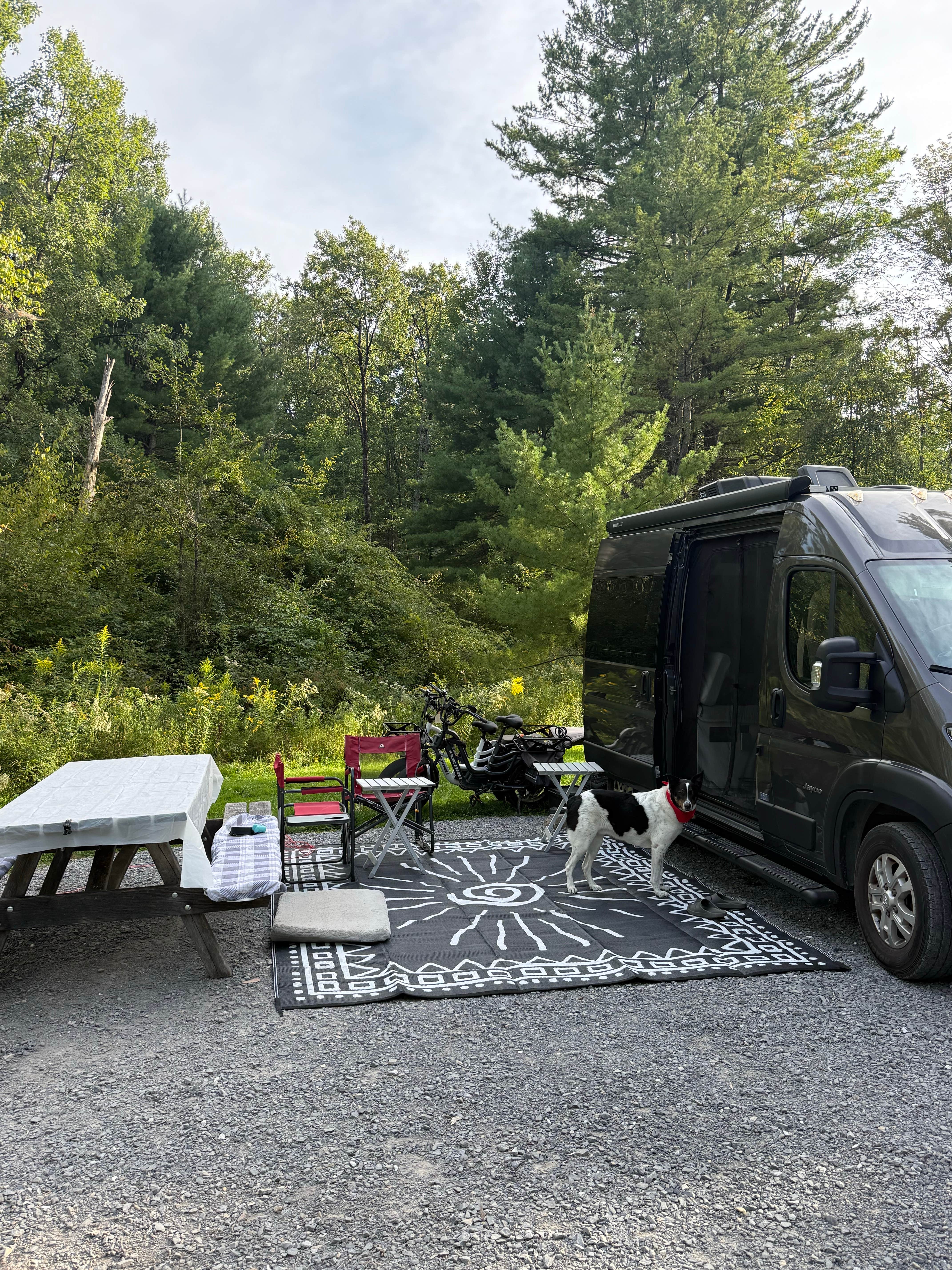 Tim Z.'s photo of rv camping at Leonard Harrison State Park Campground near Wellsboro, PA