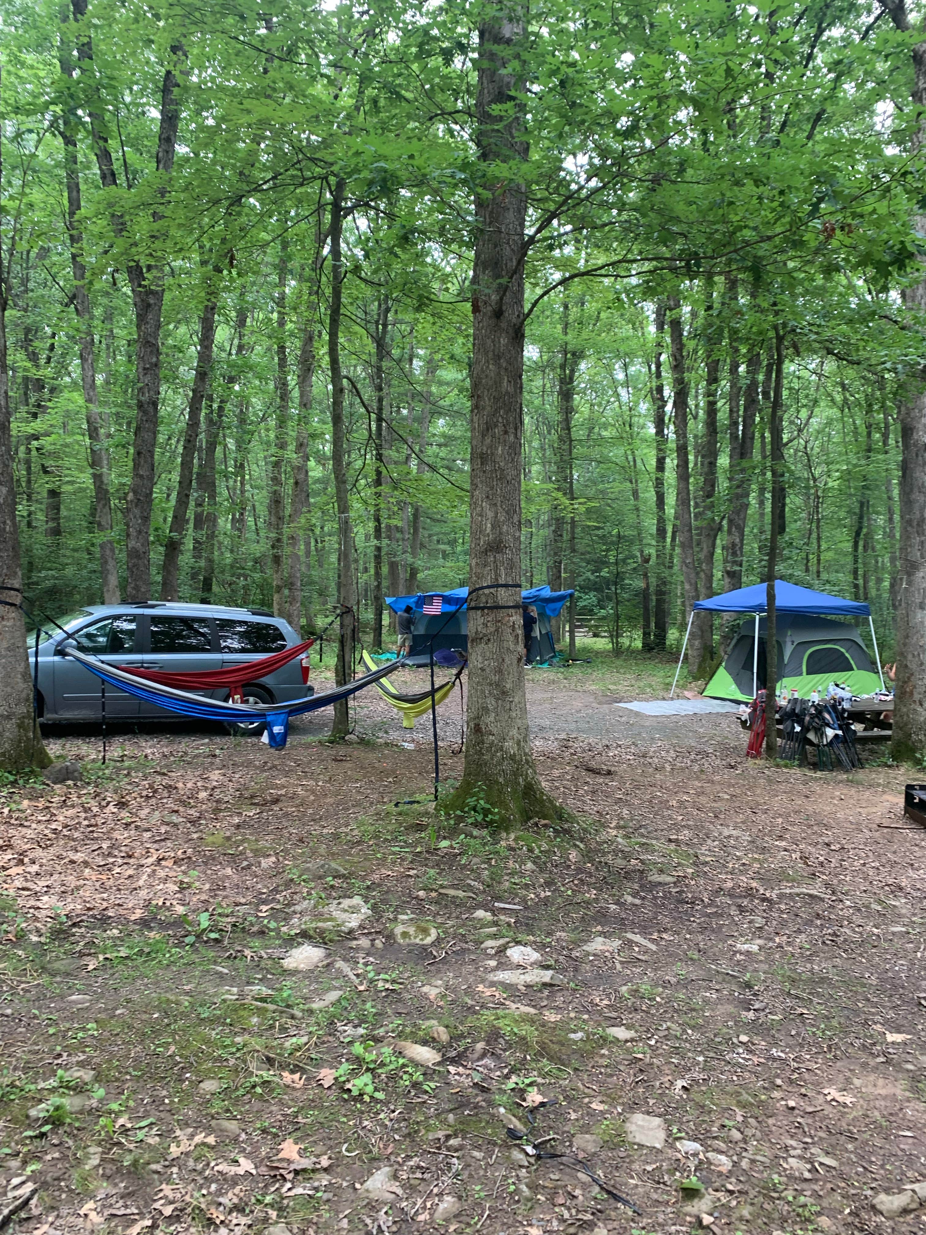 Mackenzie B.&#x27;s photo of tent camping at Mauch Chunk Lake Park near Blandon, PA