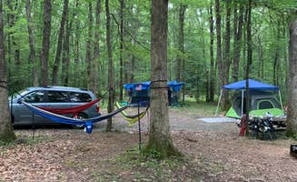 Mackenzie B.'s photo of tent camping at Mauch Chunk Lake Park near Lebanon, PA