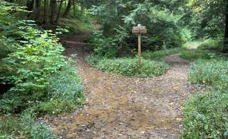 Nick B.'s photo of camping with pets at Minister Creek Campground near Rouseville, PA