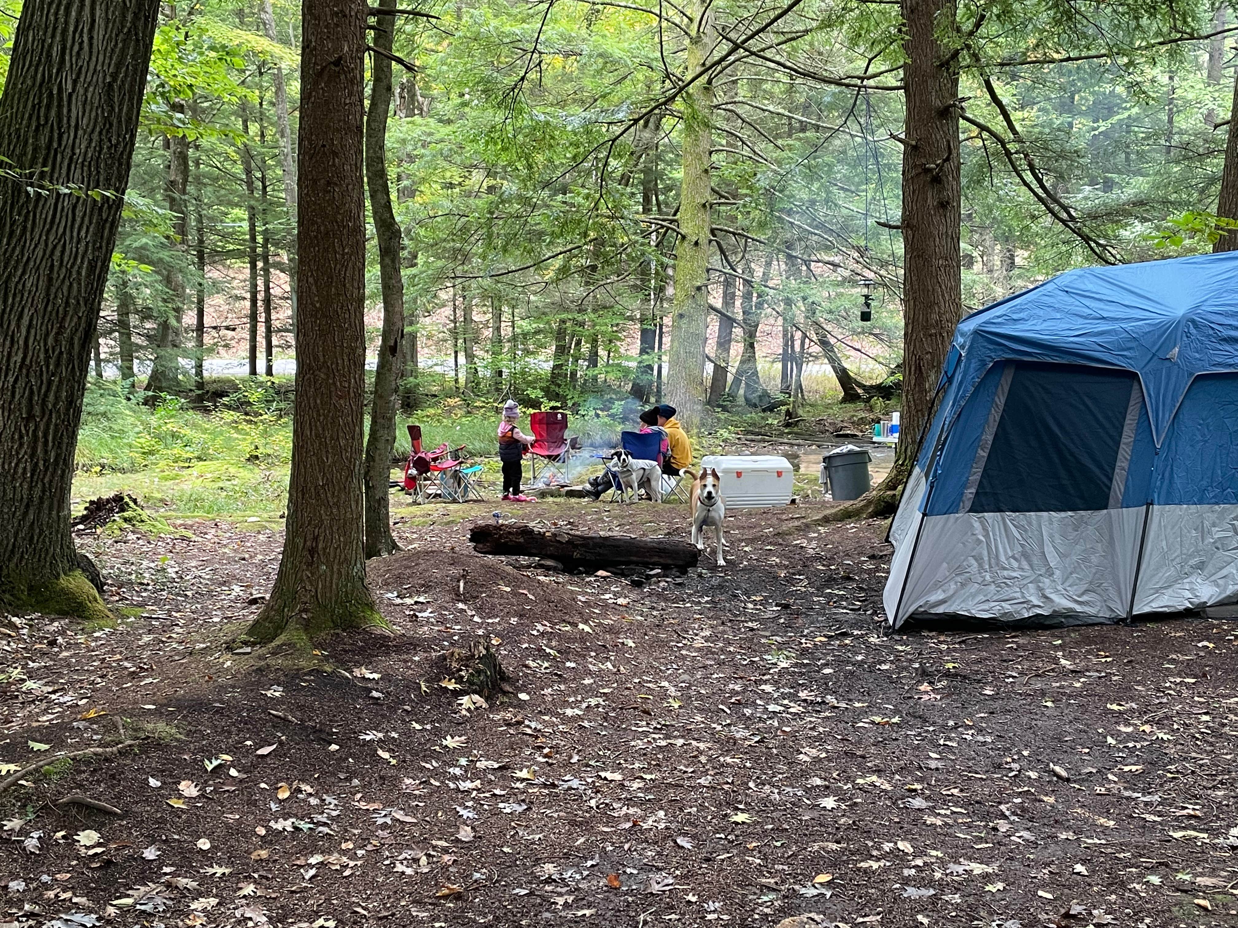 Nick B.'s photo at Minister Creek Campground near Pleasantville, PA