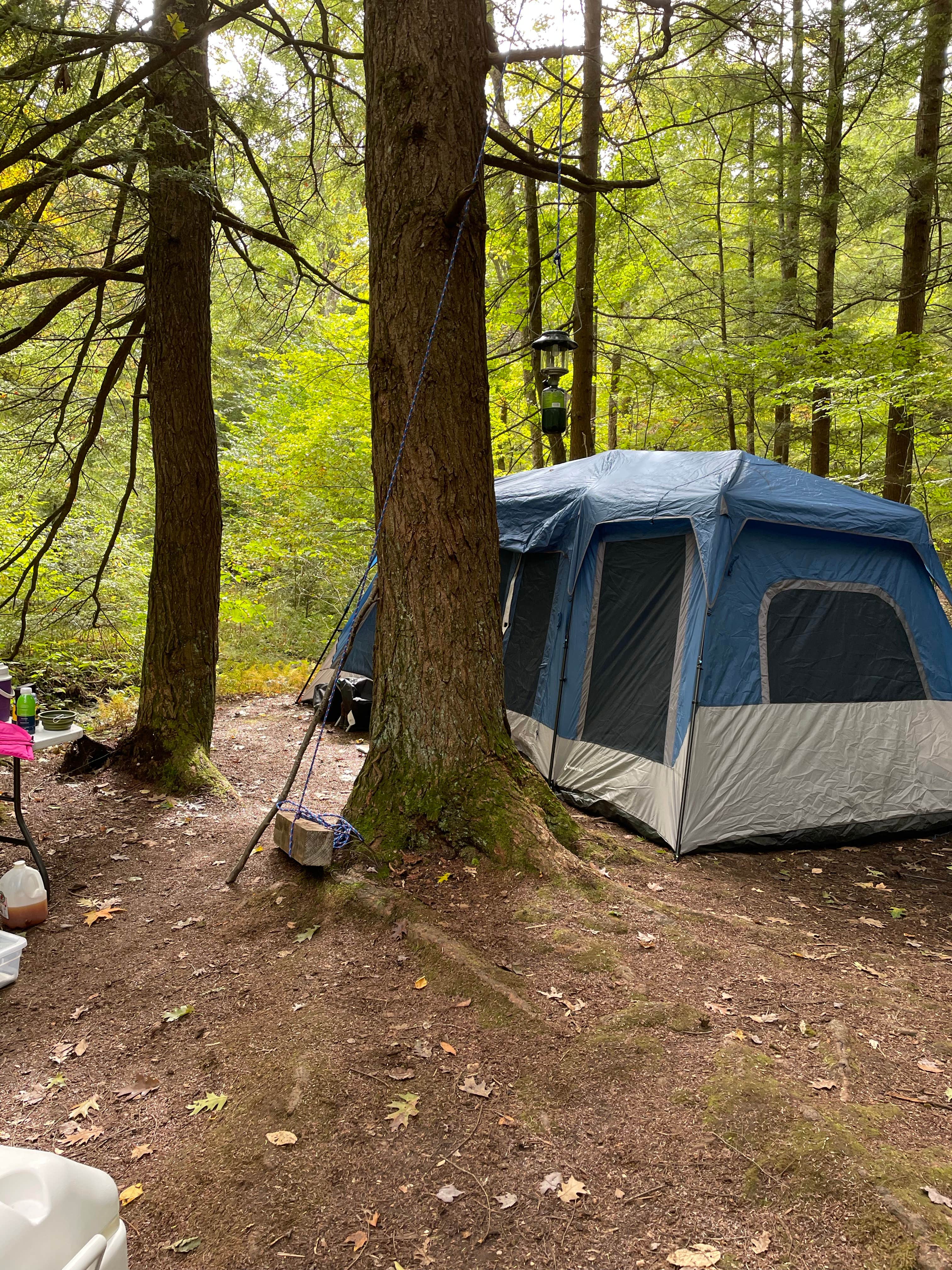 Nick B.'s photo at Minister Creek Campground near Ludlow, PA