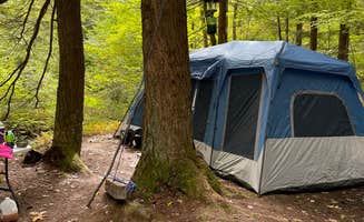 Nick B.'s photo at Minister Creek Campground near Ludlow, PA