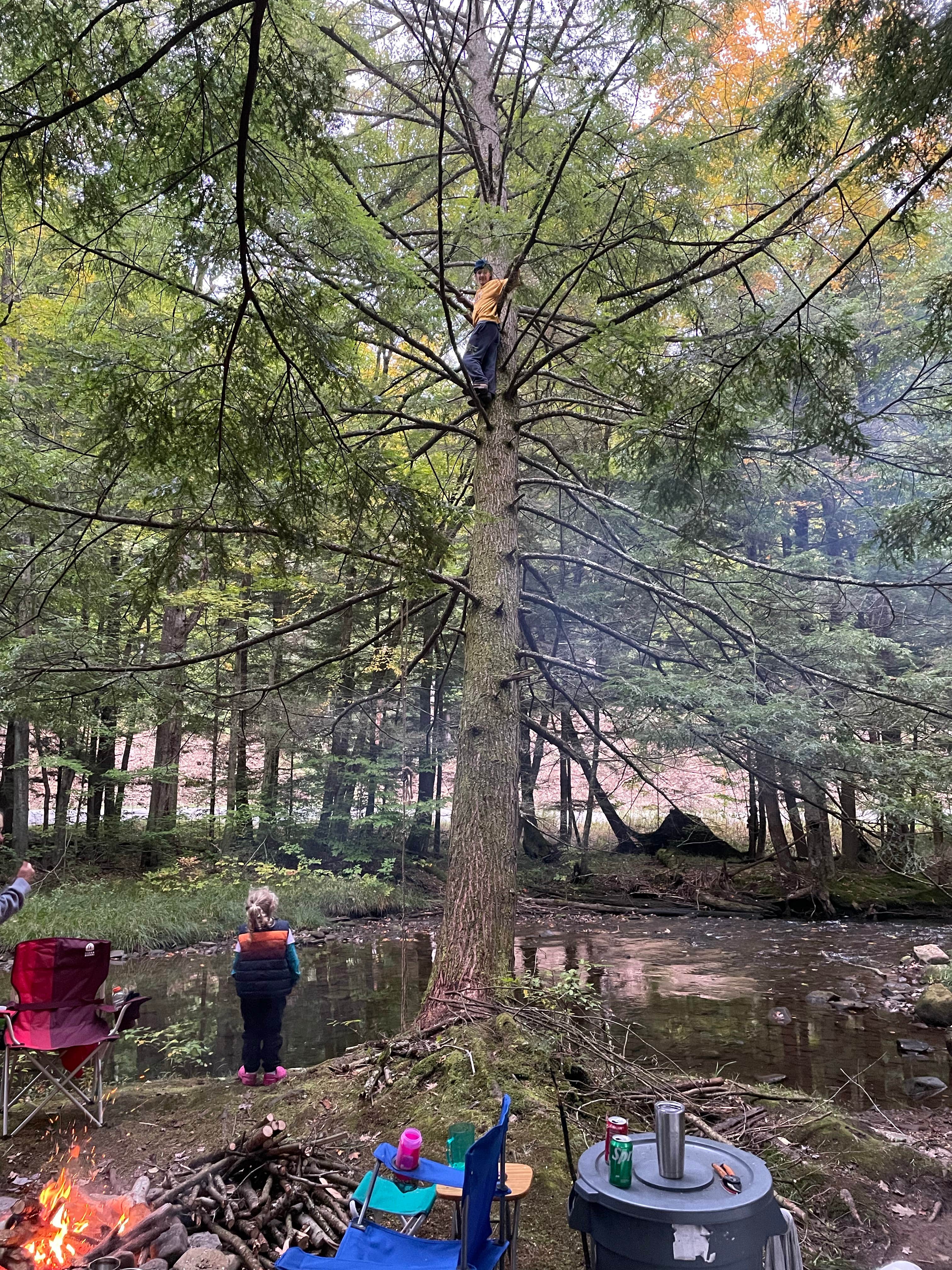Nick B.'s photo at Minister Creek Campground near Clarendon, PA