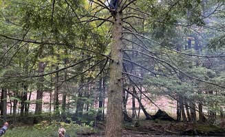 Nick B.'s photo at Minister Creek Campground near Clarendon, PA