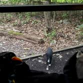 Review photo of Moon Lake Recreation Area Campground — Pinchot State Forest by Art S., August 31, 2026