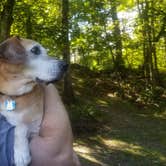 Review photo of Moon Lake Recreation Area Campground — Pinchot State Forest by Sue B., August 23, 2026