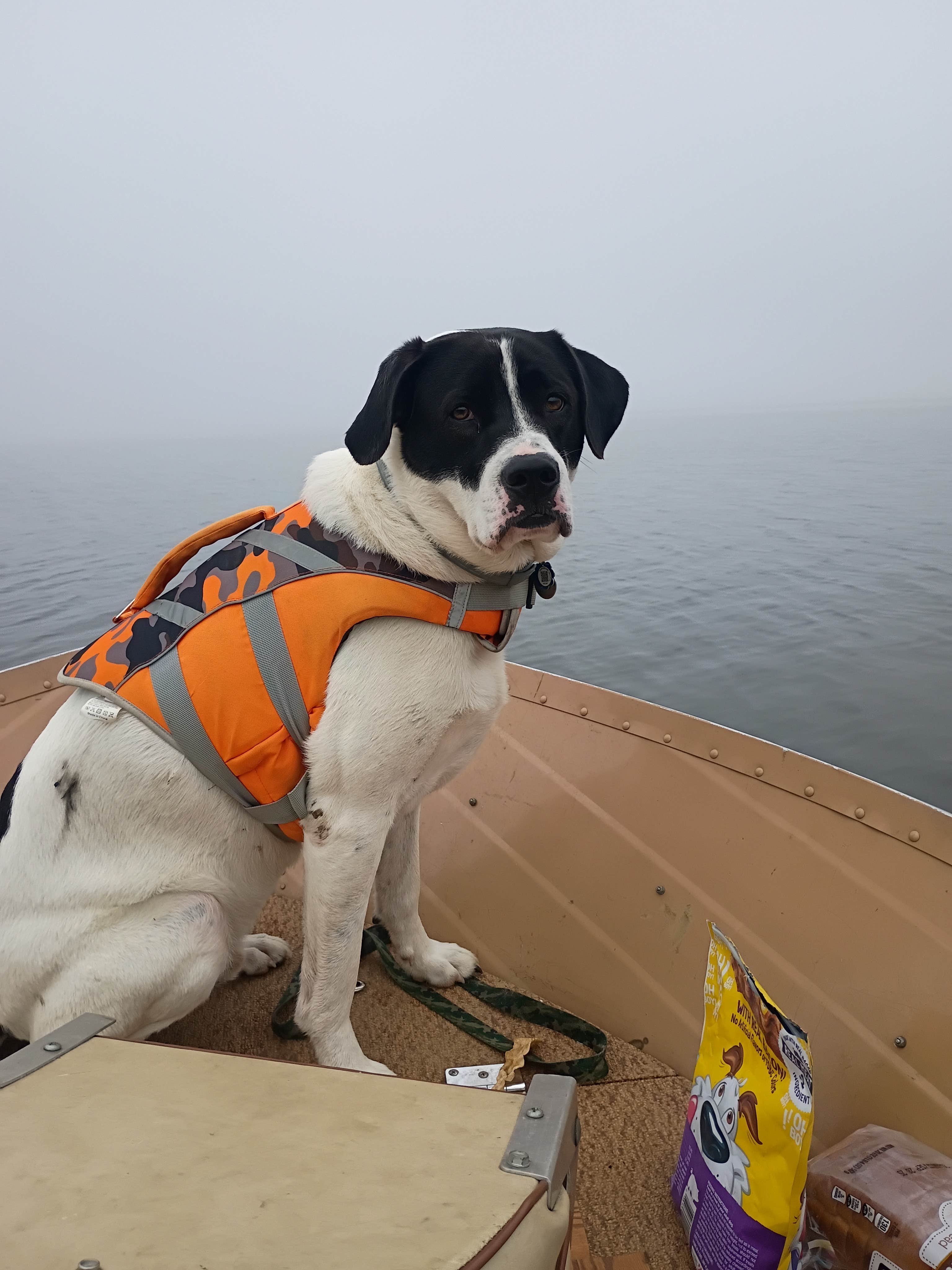 Daniel S.'s photo of camping with pets at Linesville Campground — Pymatuning State Park near Geneva-on-the-Lake, OH