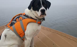 Daniel S.'s photo of camping with pets at Linesville Campground — Pymatuning State Park near Transfer, PA