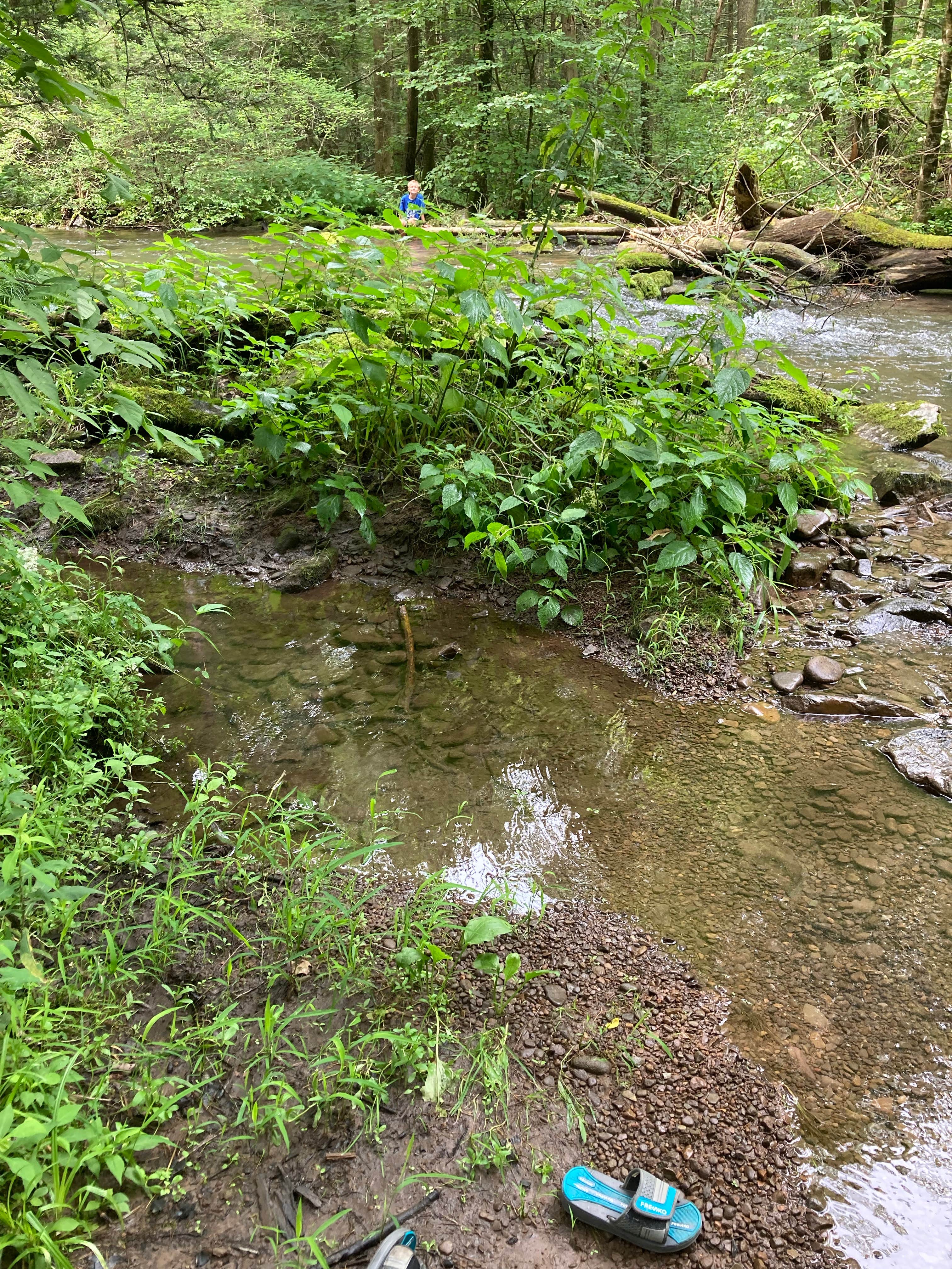 Camper-submitted photo at Ravensburg State Park Campground near Lemont, PA