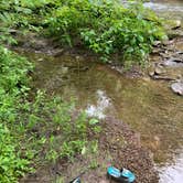 Review photo of Ravensburg State Park Campground by Becky , July 21, 2025