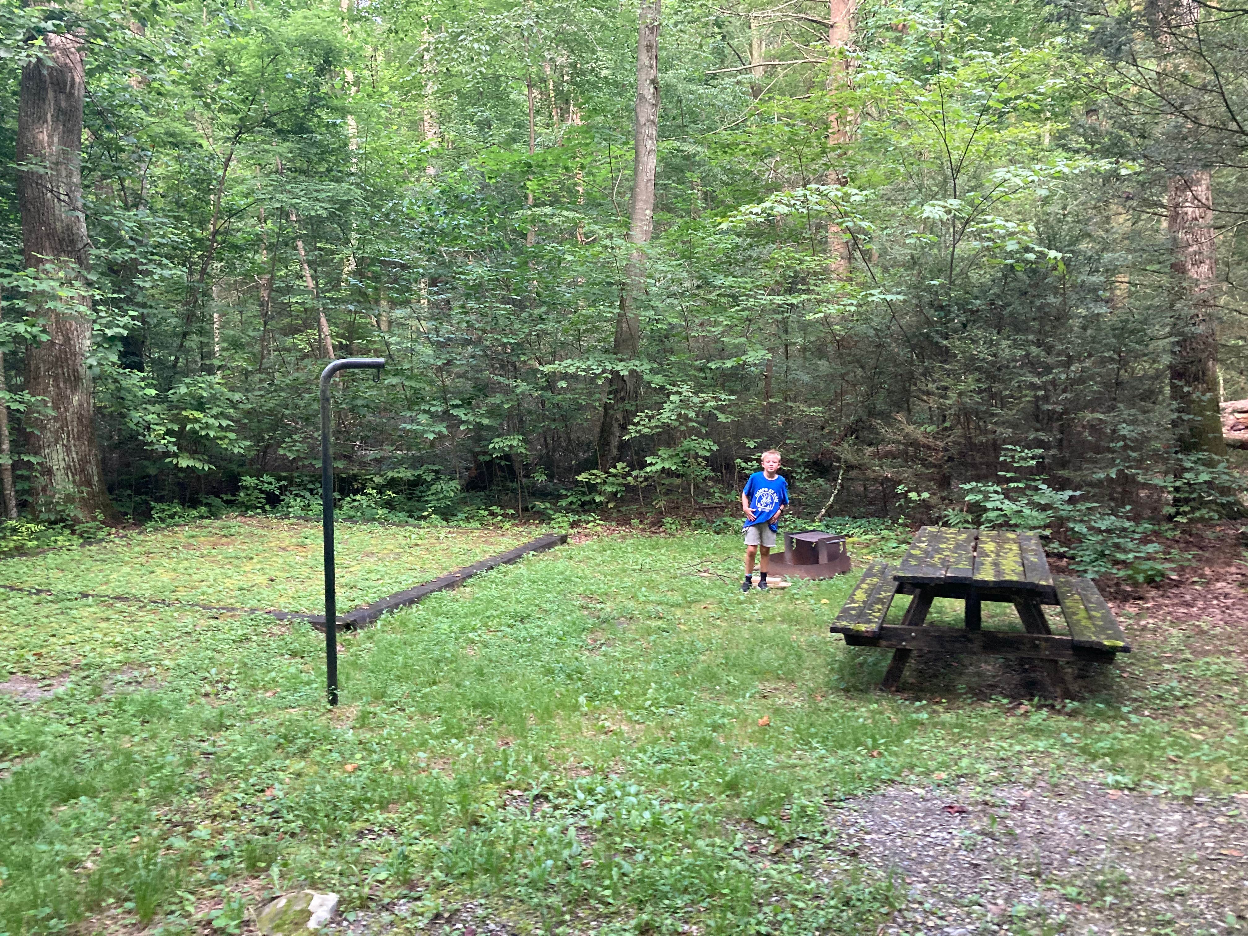Camper submitted image from Ravensburg State Park Campground - 5