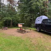 Review photo of Red Bridge Recreation Area - Allegheny National Forest by David B., August 13, 2025