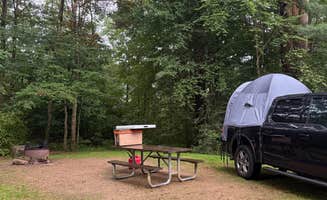 David B.'s photo at Red Bridge Recreation Area - Allegheny National Forest near Allegheny National Forest