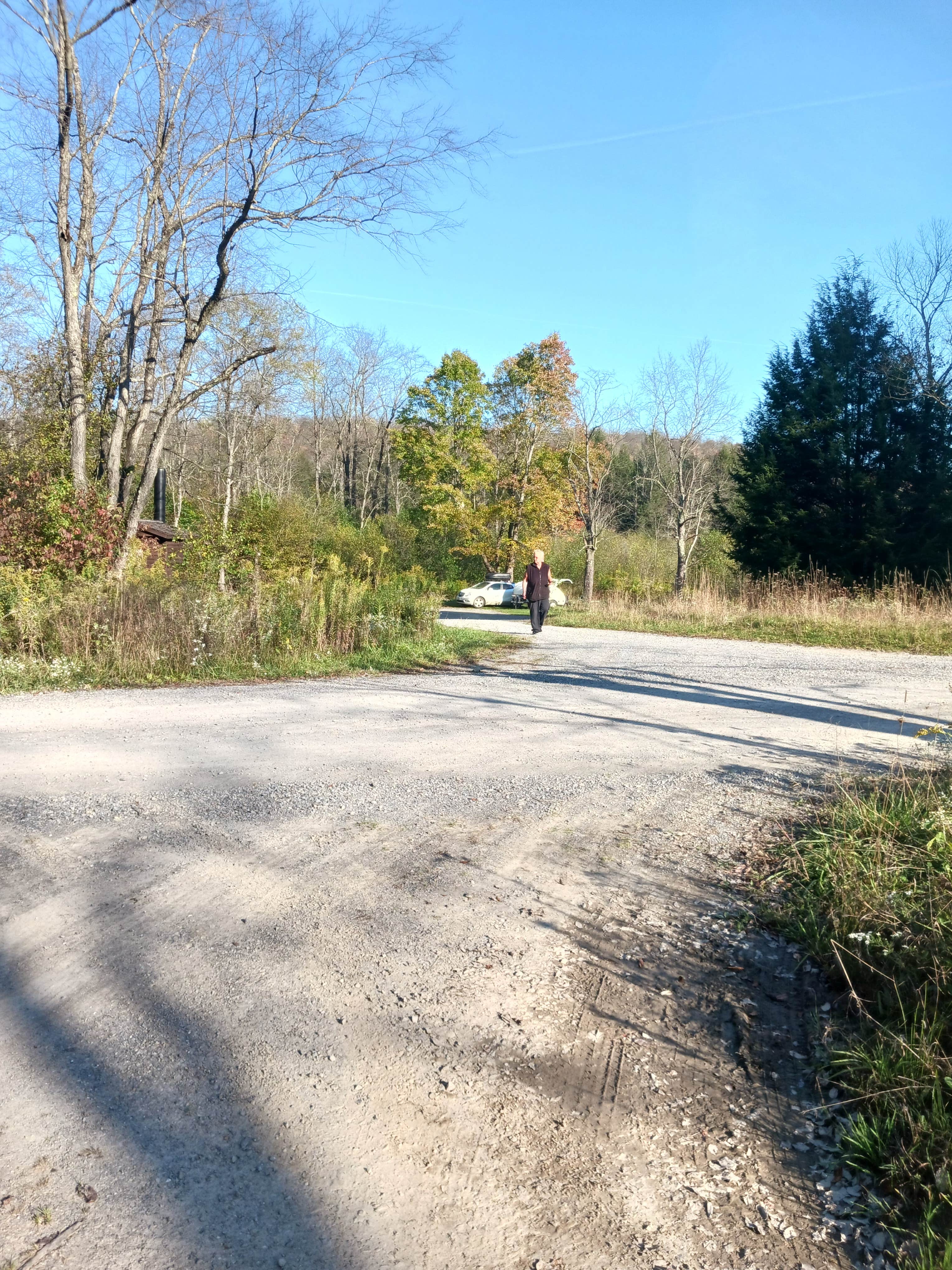 Kevin C.'s photo of a dispersed camping area at Red Mill Pond near Tionesta, PA