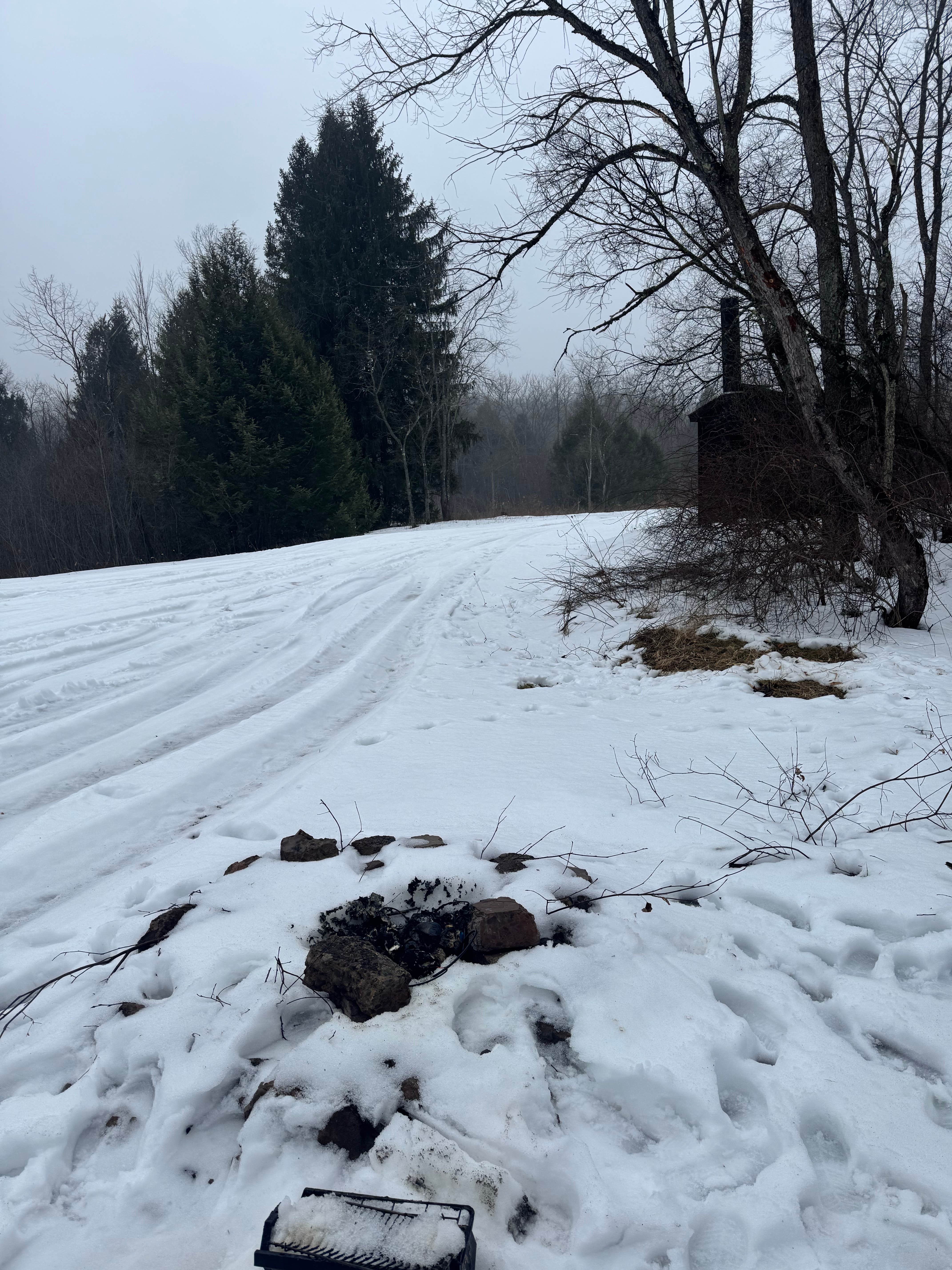 Camper-submitted photo at Red Mill Pond near Salamanca, NY