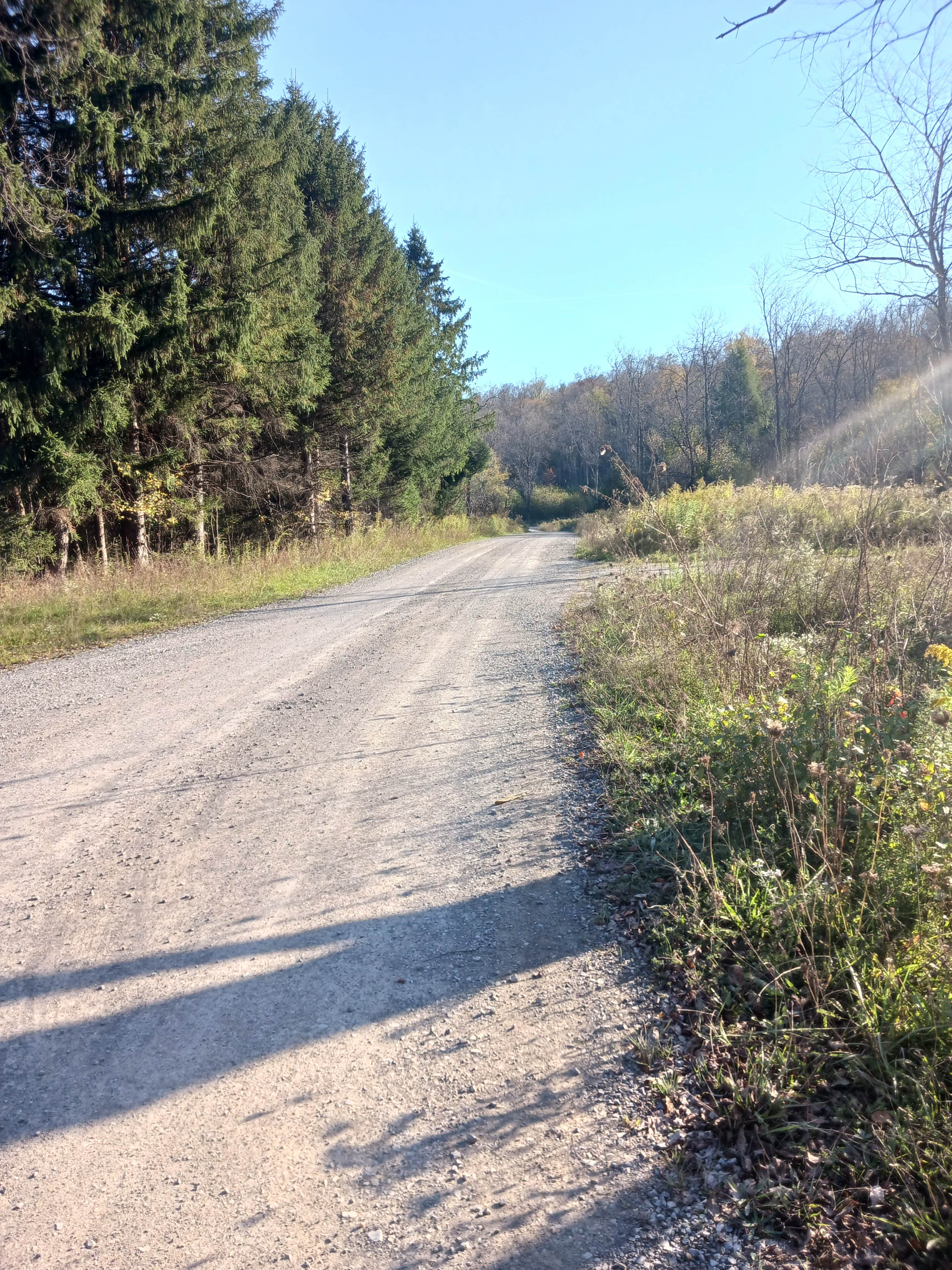 Camper-submitted photo at Red Mill Pond near Tionesta, PA