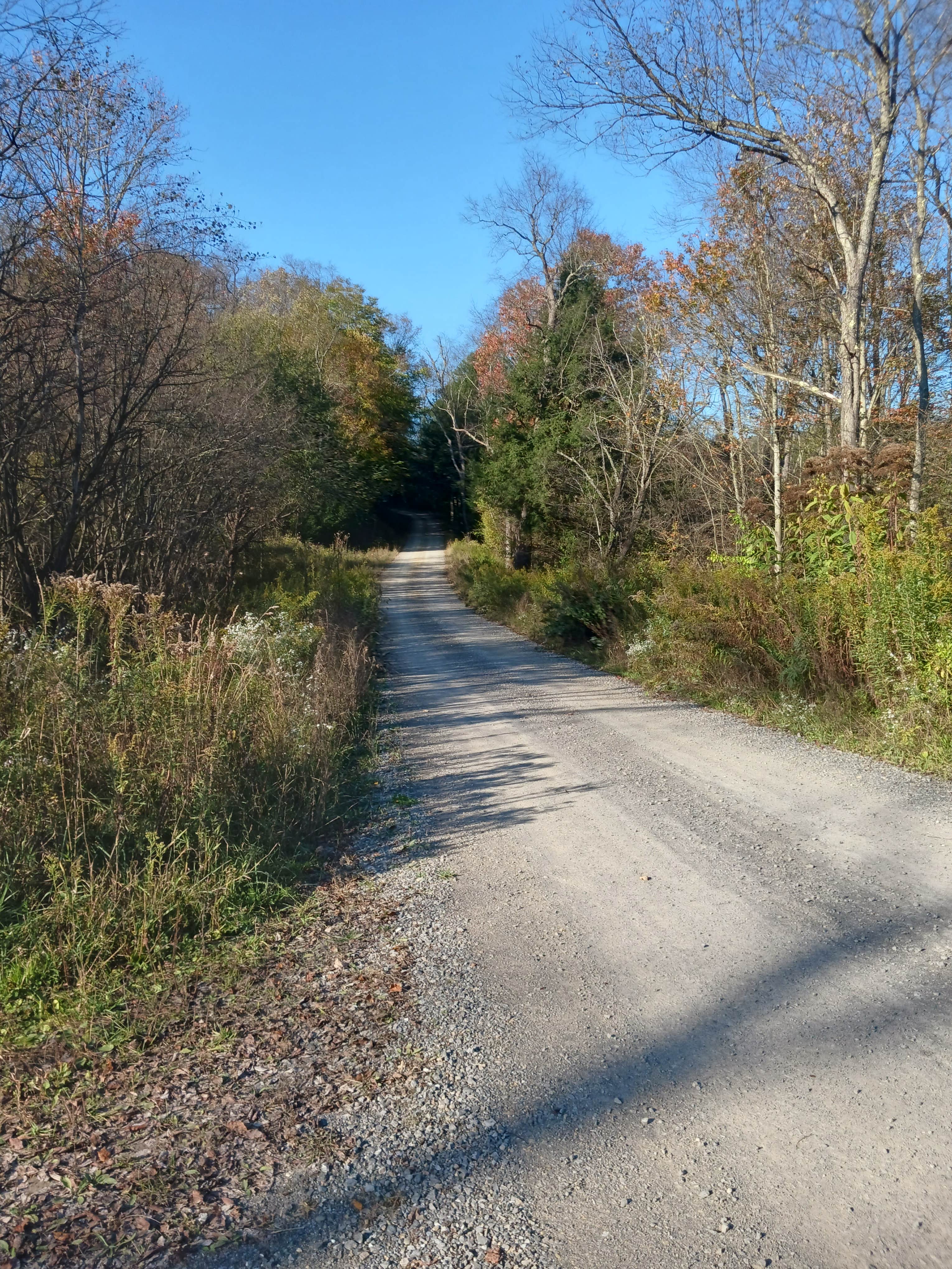 Camper-submitted photo at Red Mill Pond near Tionesta, PA